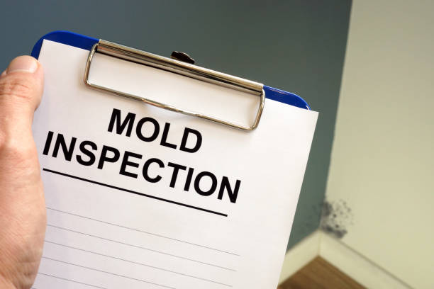 Best Comprehensive Air Testing for Mold Contaminants  in Whitewater, WI